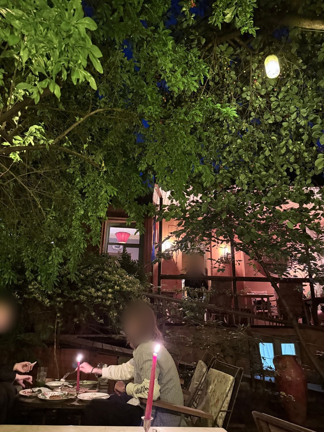 木々に囲まれたシャヴィ・ロミの中庭の席